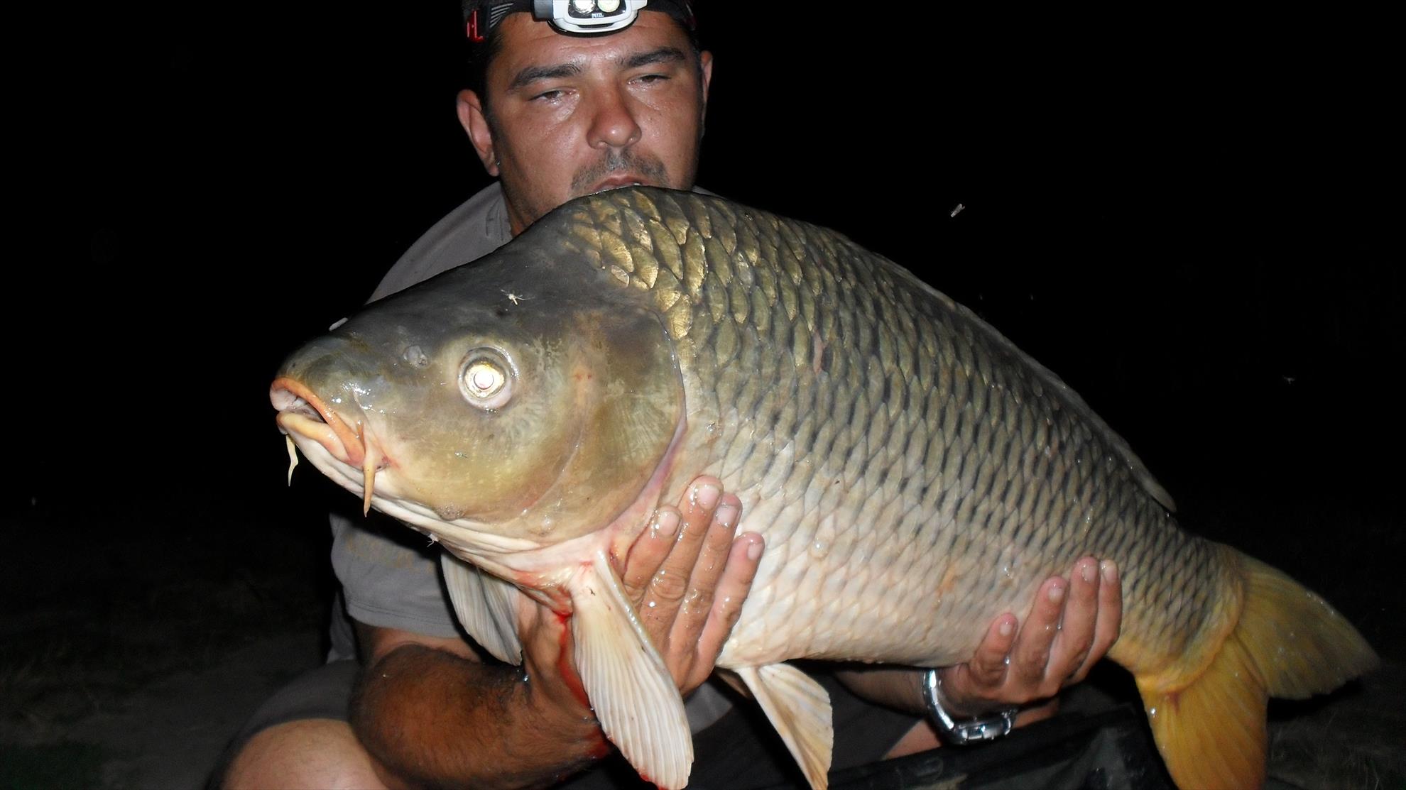 Ohat 3 8 - 11 aug. - sdc11821.JPG